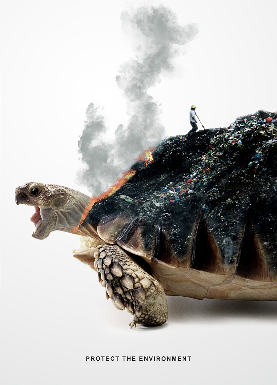 用藝術(shù)點(diǎn)亮動物保護(hù) 胡子韓原創(chuàng)文藝海報設(shè)計(jì)