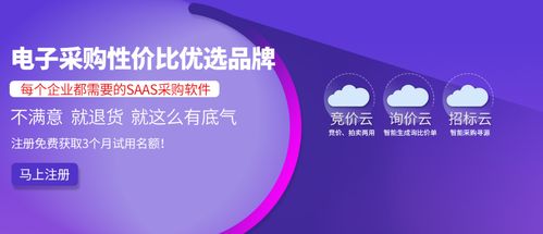 2025年12月北京采購管理系統(tǒng)服務推薦排行榜 信息技術咨詢服務全解析