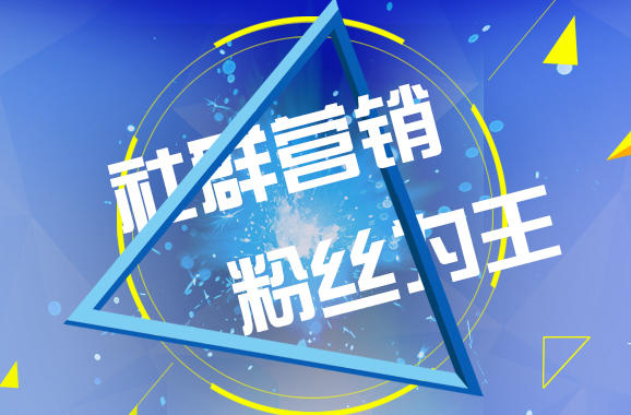 社群營(yíng)銷(xiāo)--粉絲為王
